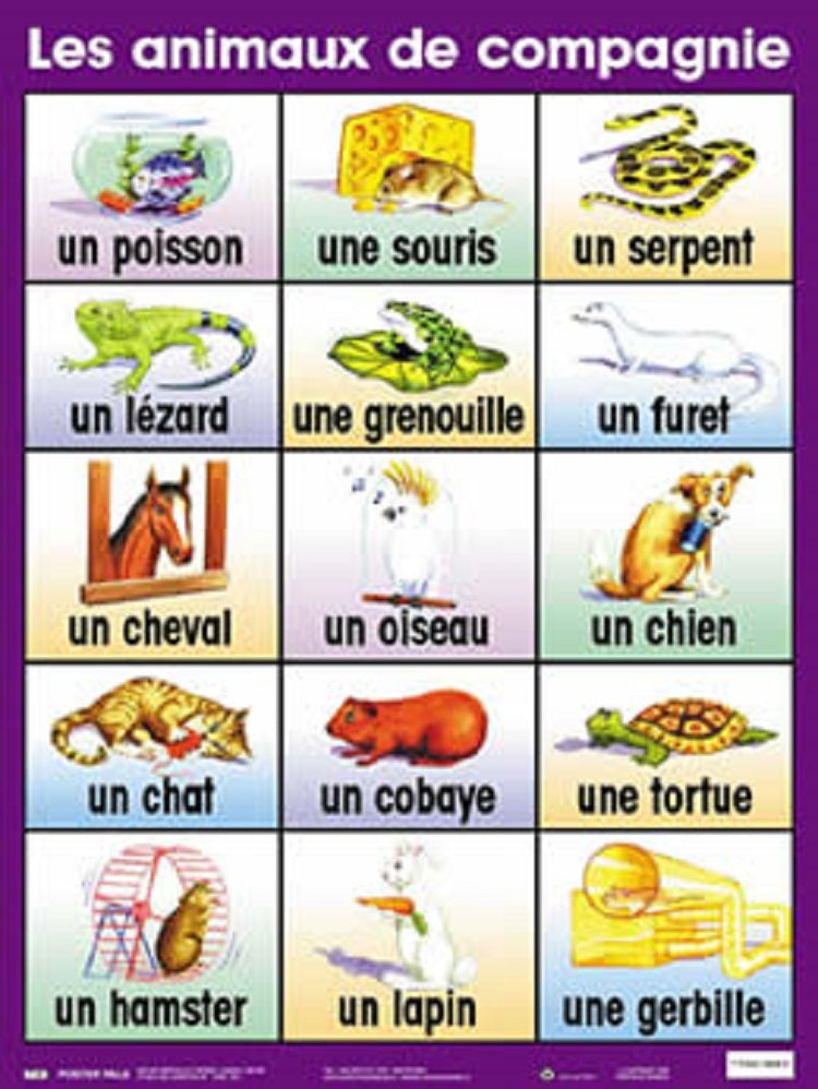 French Beginner Pack 7 pk