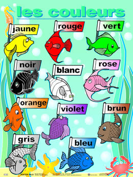 French Beginner Pack 7 pk