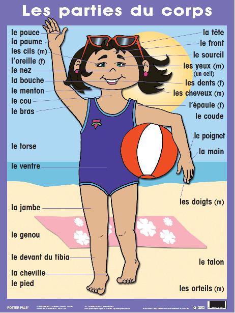 French Beginner Pack 7 pk