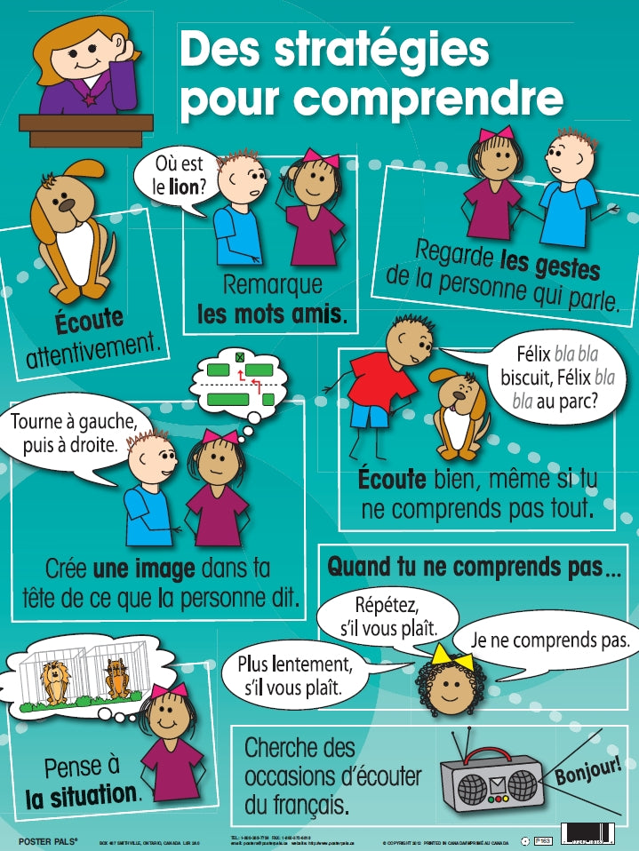 French Writing & Strategy Pack 5 pk