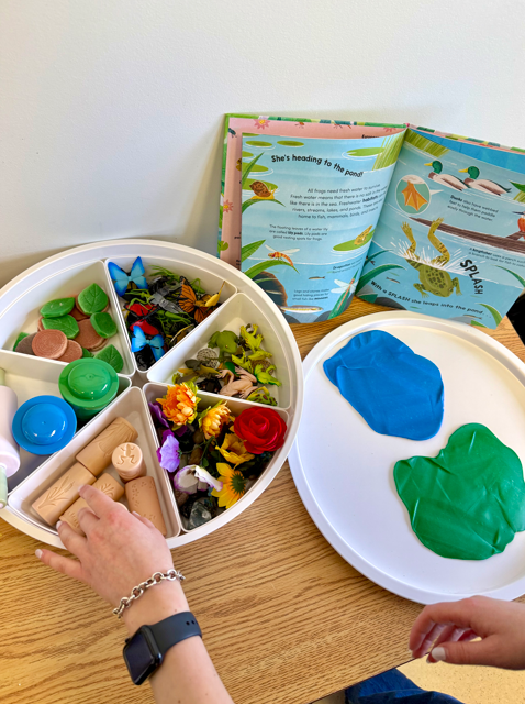 Frog Pond Playdough Collection