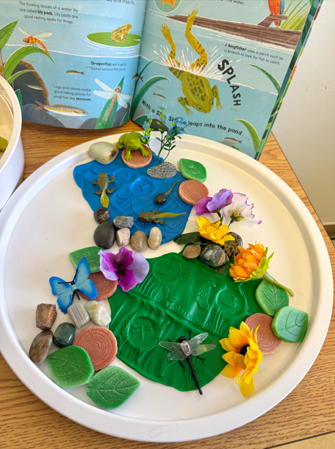 Frog Pond Playdough Collection