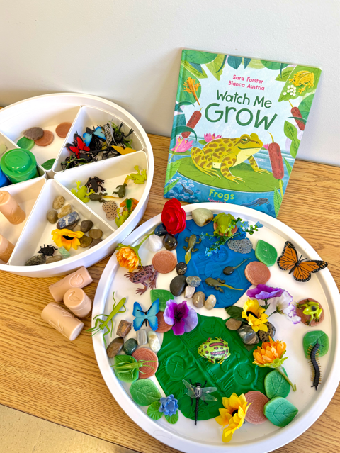 Frog Pond Playdough Collection