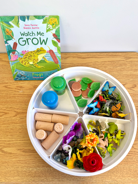 Frog Pond Playdough Collection