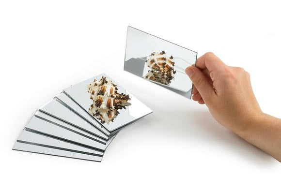 Handheld Safety Mirrors Set of 12