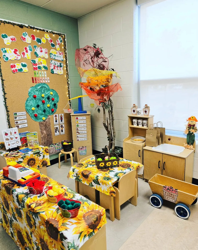 Classroom Expansion Services