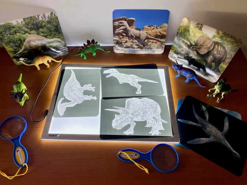 Dinosaur X-Ray Investigations Inquiry 