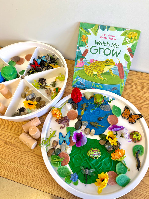Life Cycle of a Frog Set