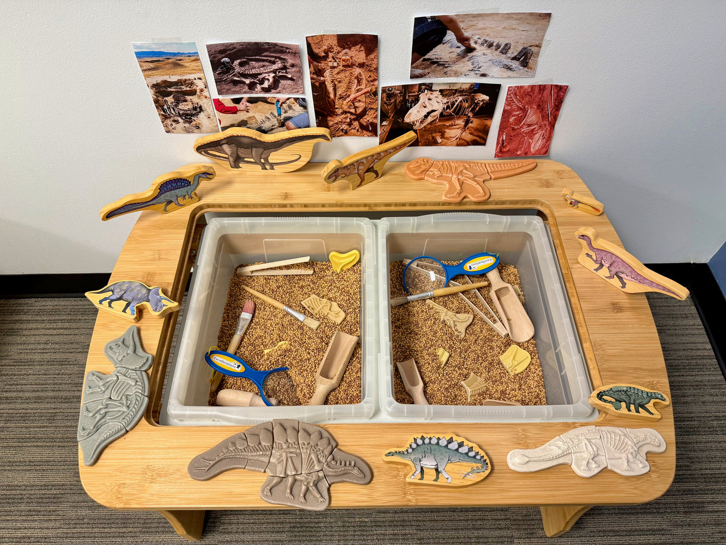 Dig & Discover Collection