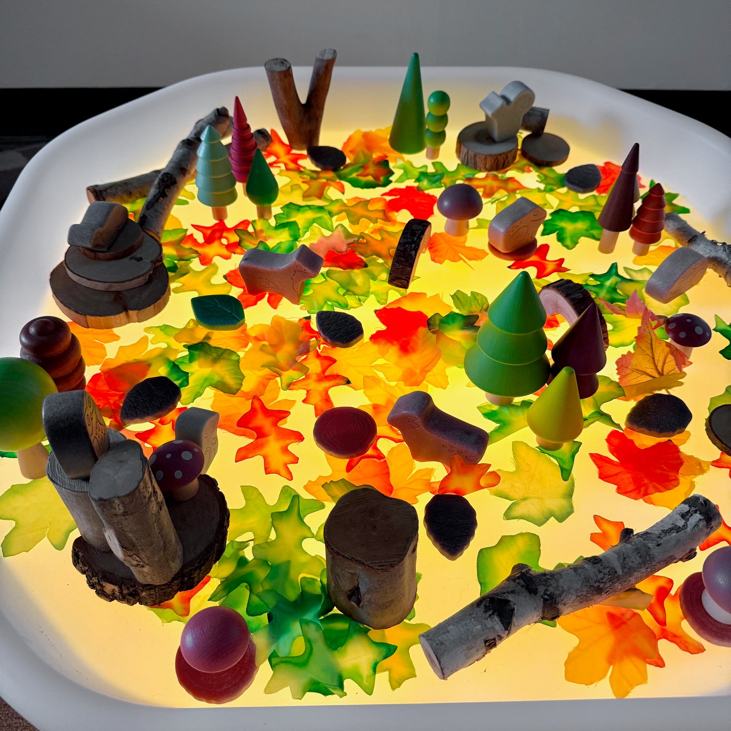 Sensory Play Stones Leaves