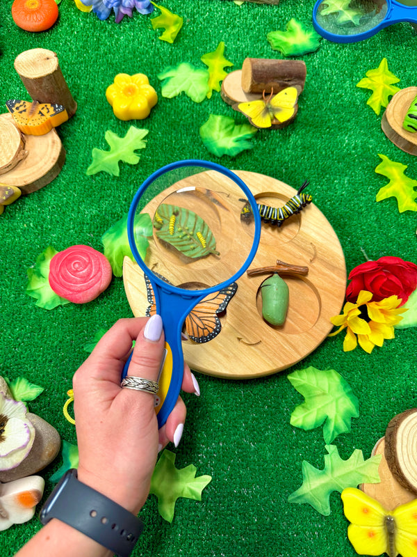 Lifecycle Wooden Tray by Naturally Inspired Play