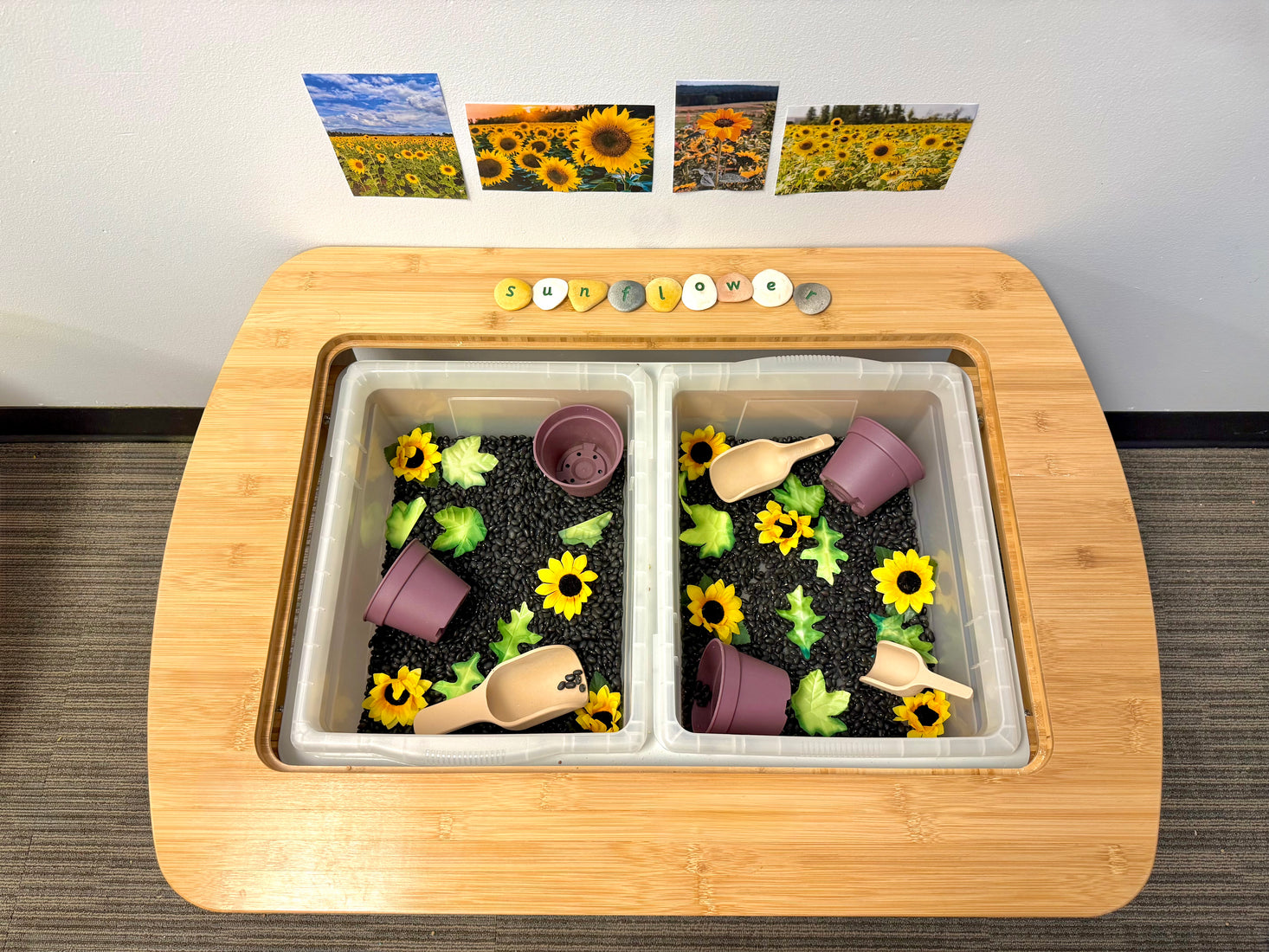 Green Garden Planting Set