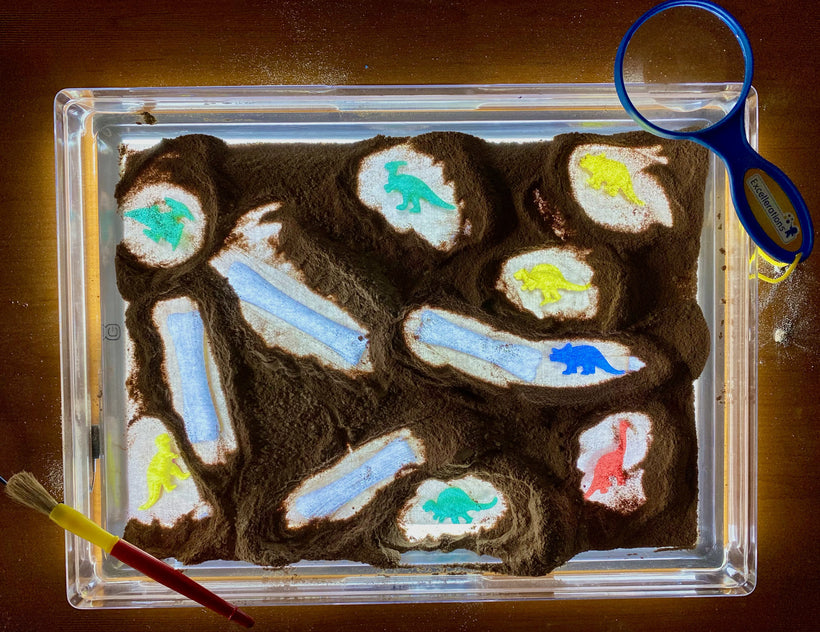 Dinosaur Fossil Investigations