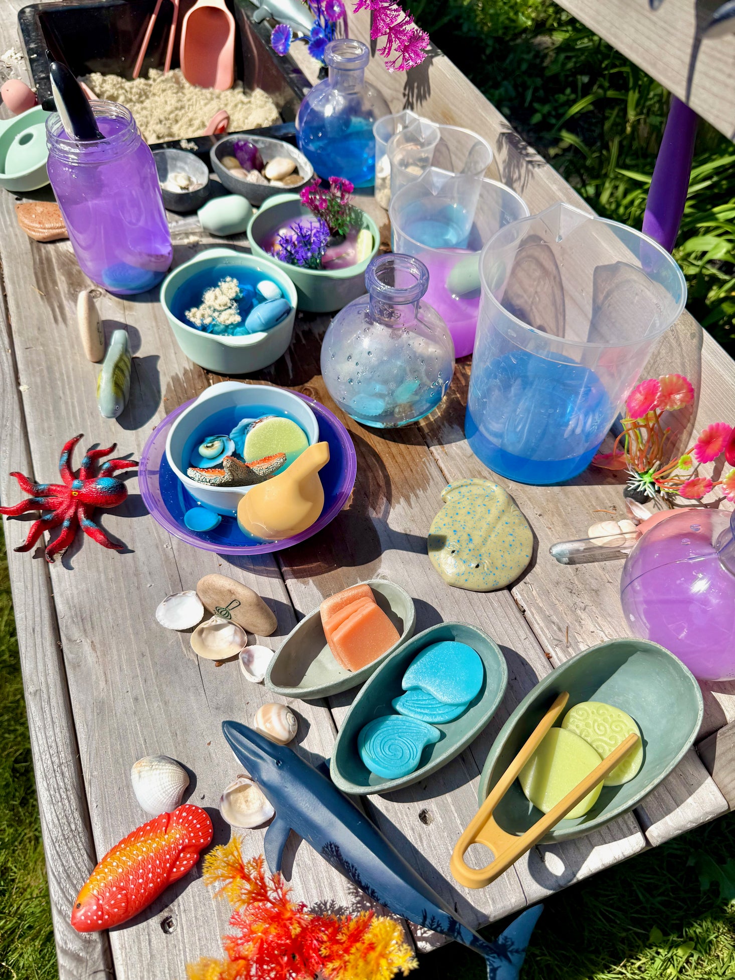 Economy Beaker Set