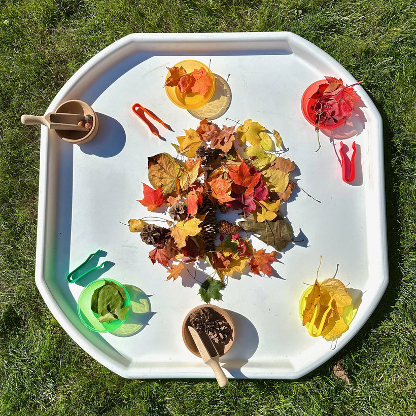 Nature Colour Sorting 