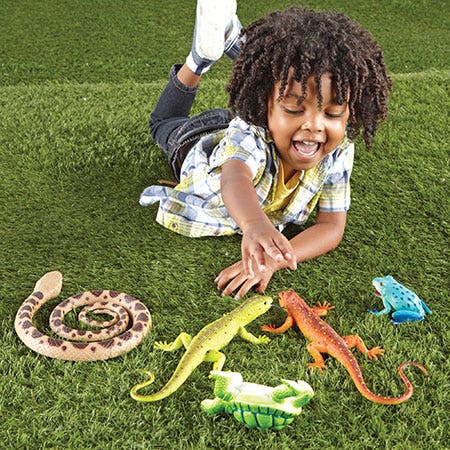 Jumbo Reptiles and Amphibians