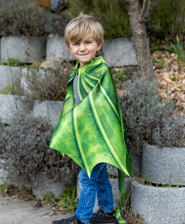 Legendary Dragon Soft Wings Size 4-6