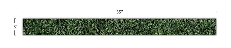 Modern Farmhouse Boxwood Straight Border Trim