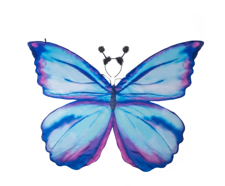 Mythical Butterfly Soft Wings Size 4-6