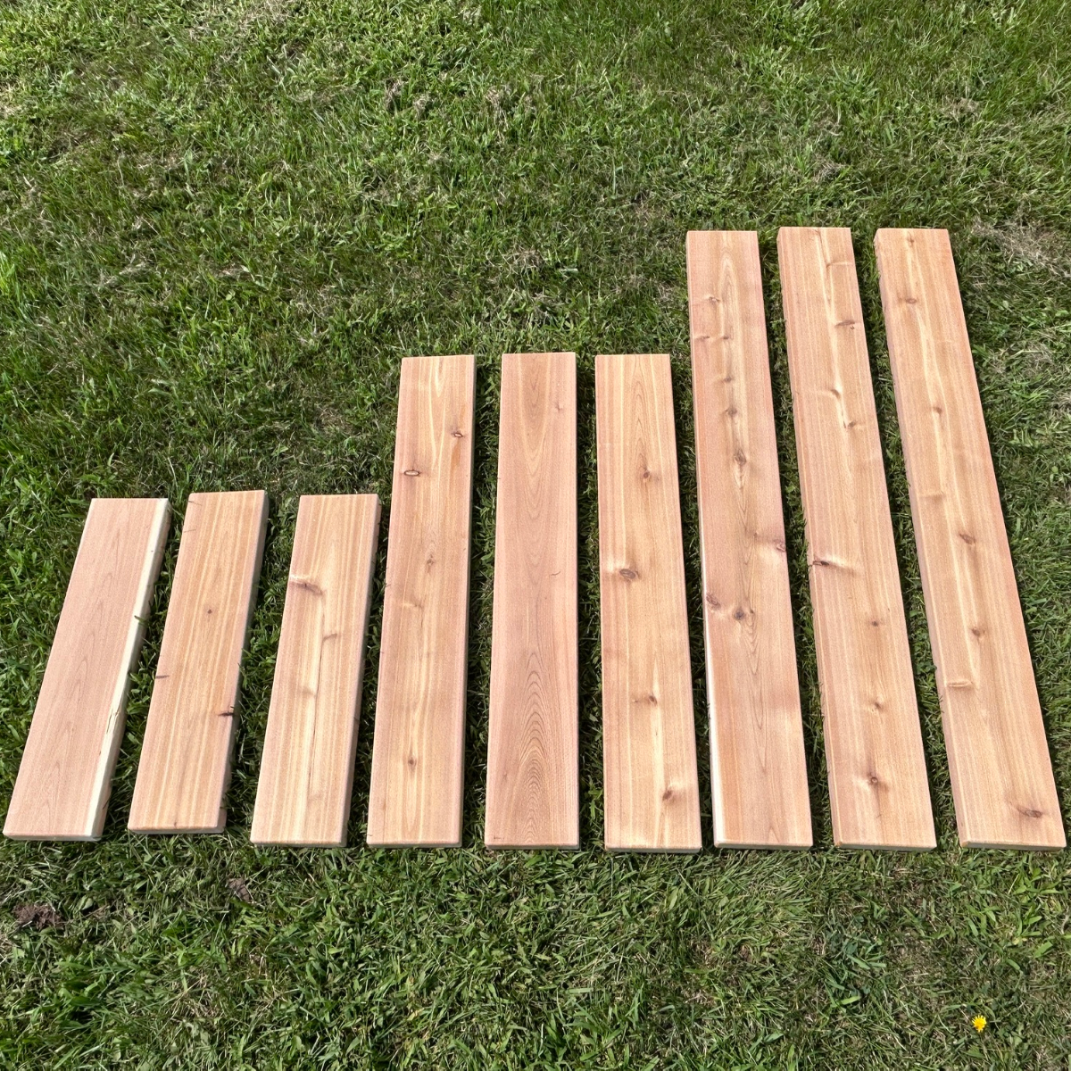 Little Explorers Course by Naturally Inspired Play
