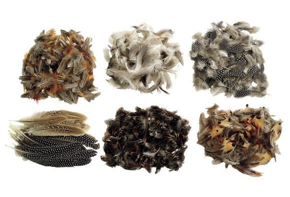 Natural Feathers Classroom Pack