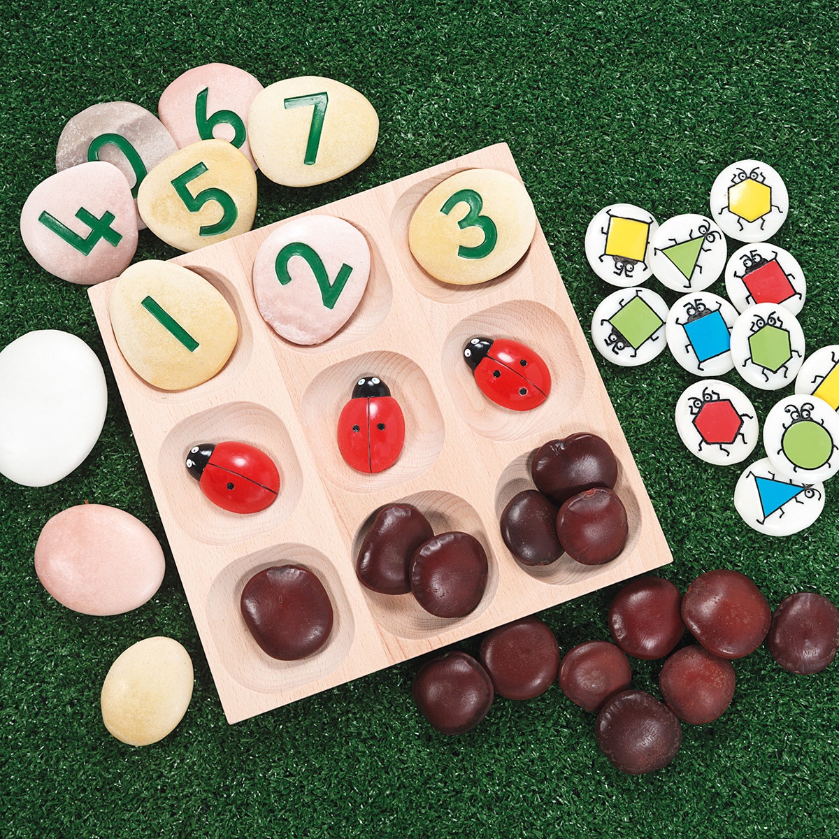 Natural Sorting Tray
