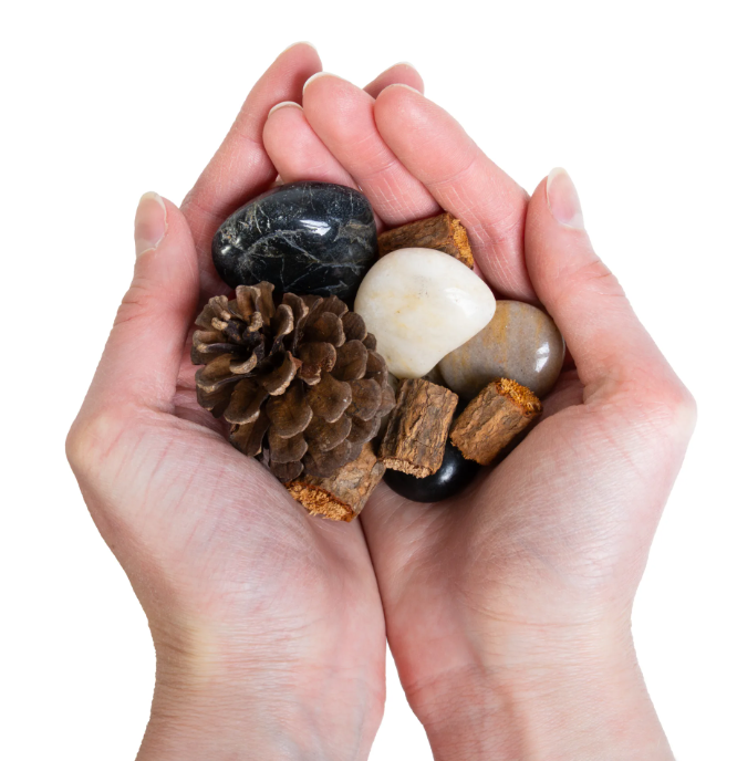 Naturals Discovery Set
