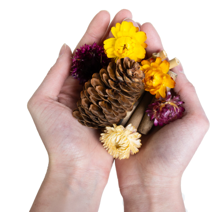 Naturals Woodland Wonders Set