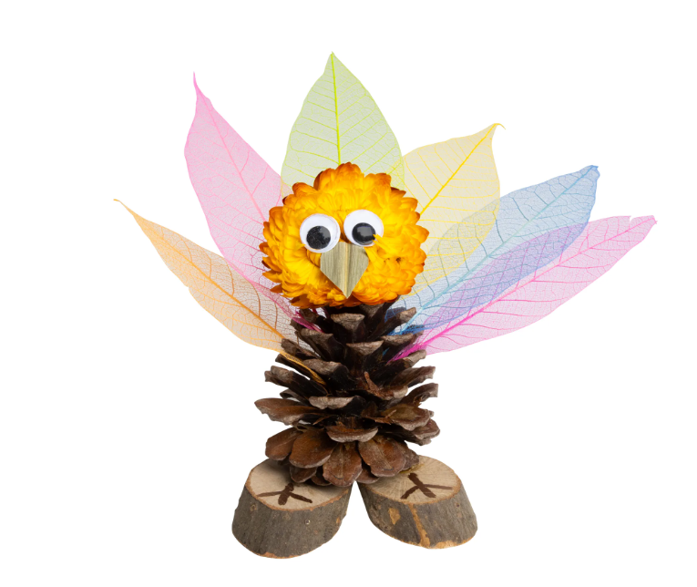 Naturals Woodland Wonders Set