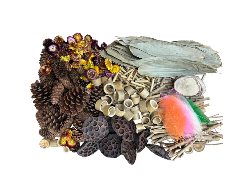 Naturals Woodland Wonders Set