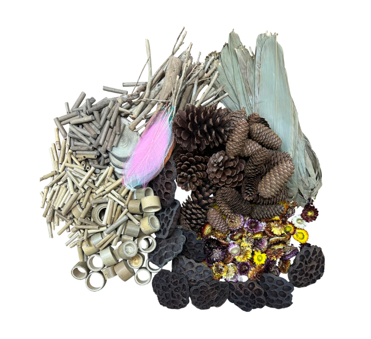 Naturals Woodland Wonders Set