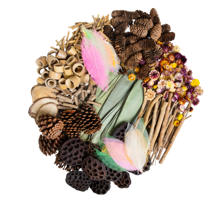 Naturals Woodland Wonders Set