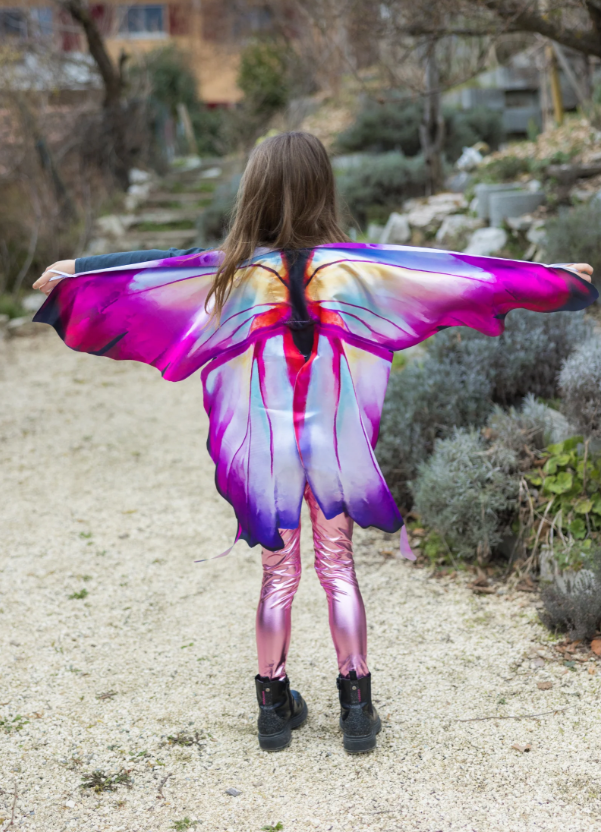 Ombre Butterfly Soft Wings Size 4-6