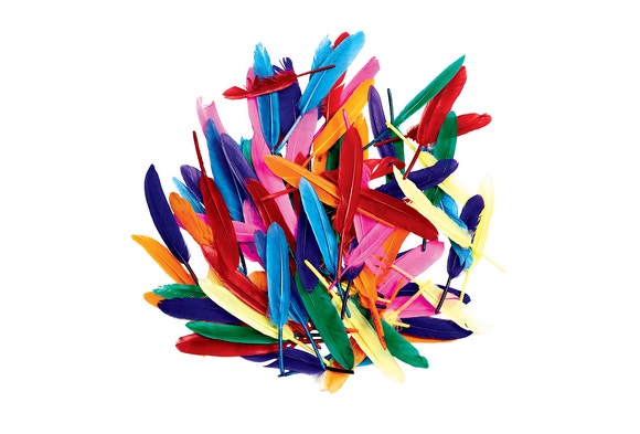 Rainbow Duck Quills 1 Oz.