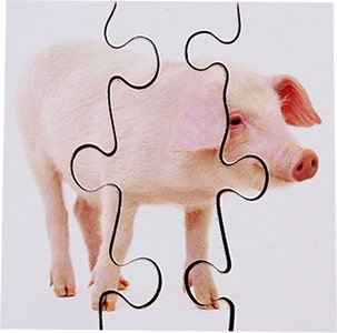 Real Life First Puzzles Farm