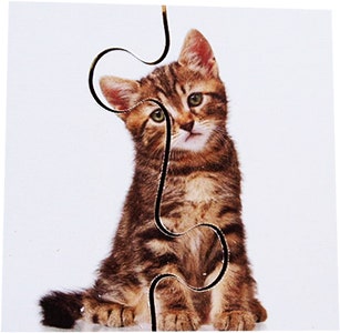Real Life First Puzzles Pets