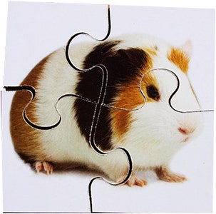 Real Life First Puzzles Pets