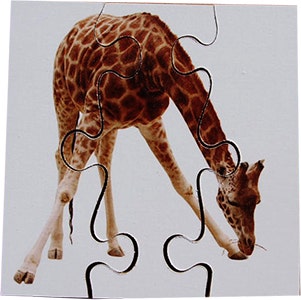Real Life First Puzzles Wild Animals