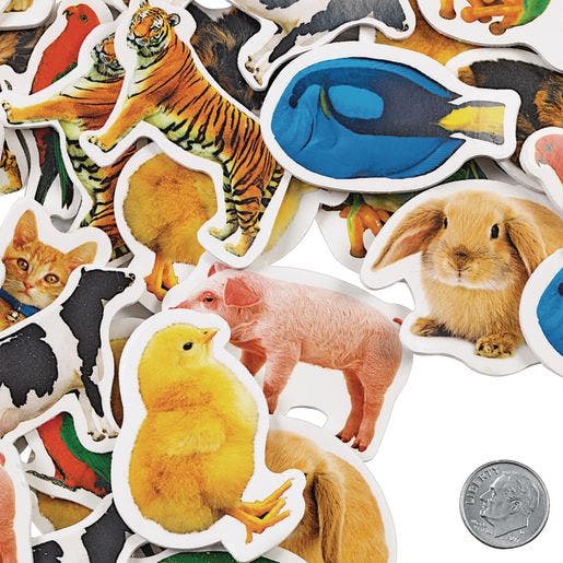 Real Photo Animal Foam Stickers 250 Pc