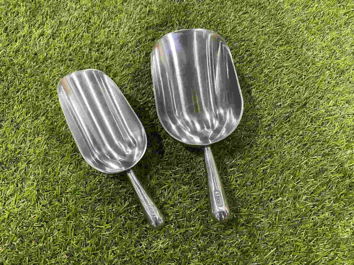 Scholar's Choice Scoop Collection