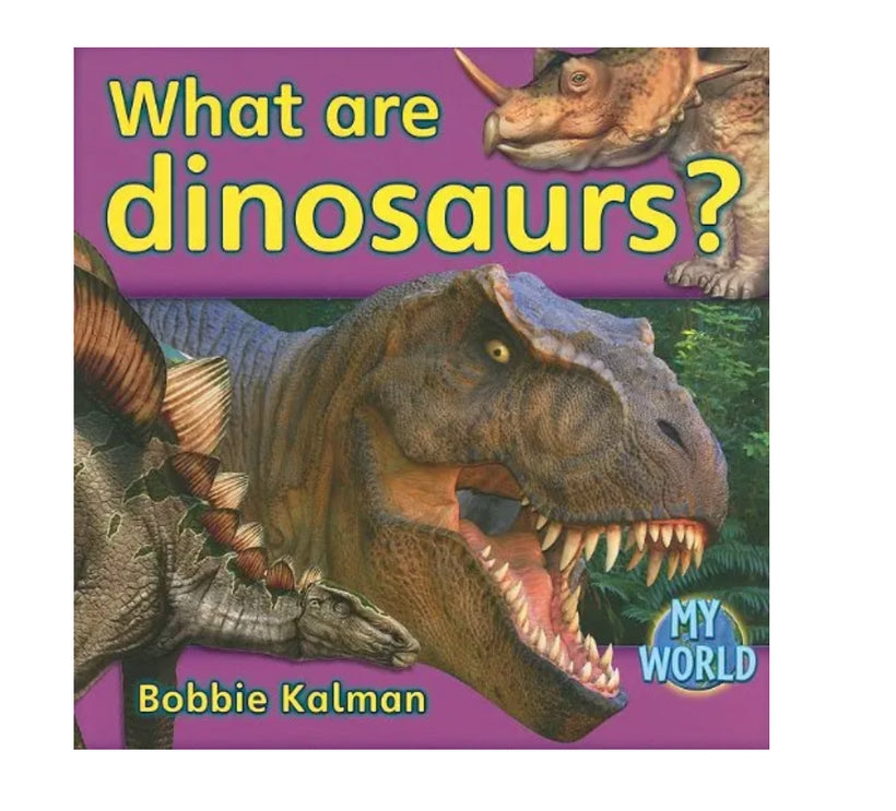 What Are Dinosaurs?