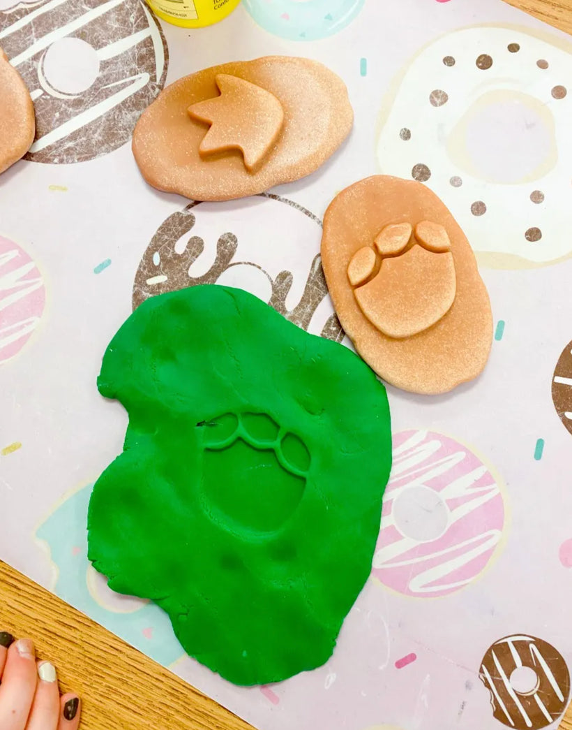Let's Investigate Dinosaur Footprints Stones