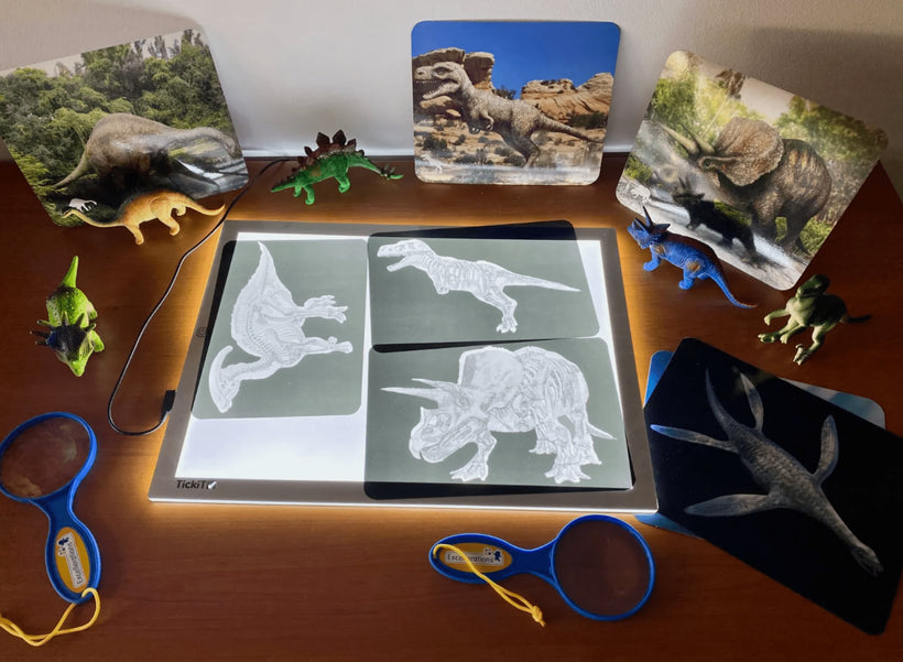 Discover Dinosaurs Picture and X-rays Cards