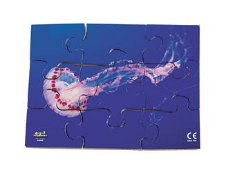 Sea Creatures Puzzle Set