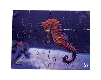 Sea Creatures Puzzle Set