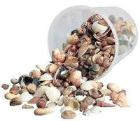 Sea Shells Natural Mix 16oz