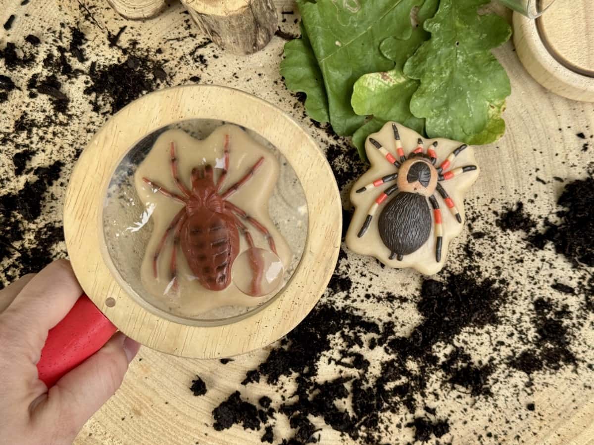Sensory Play Stones Bugs