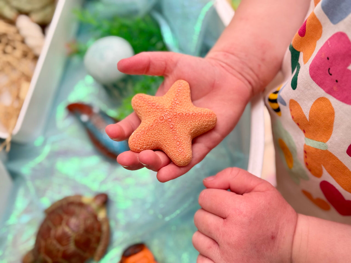 Sensory Play Stones Ocean Life