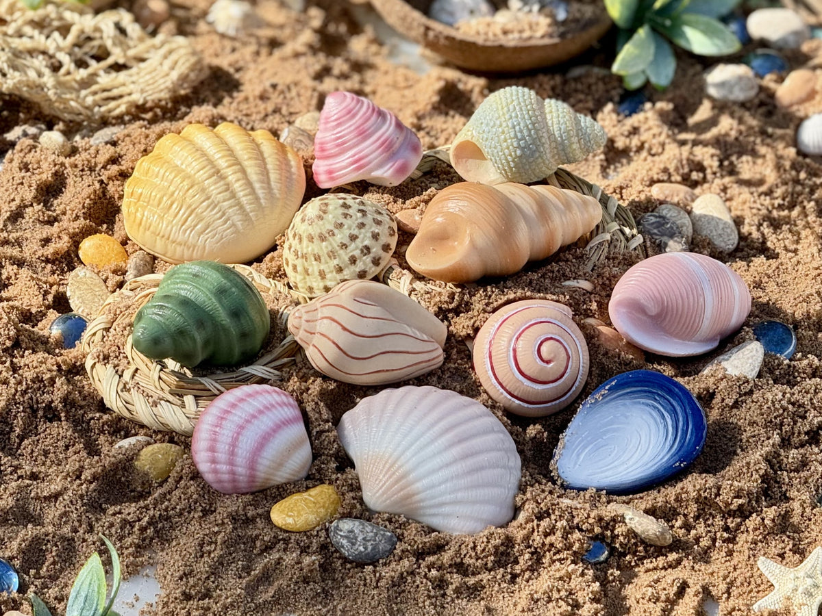 Sensory Play Stones Seashells