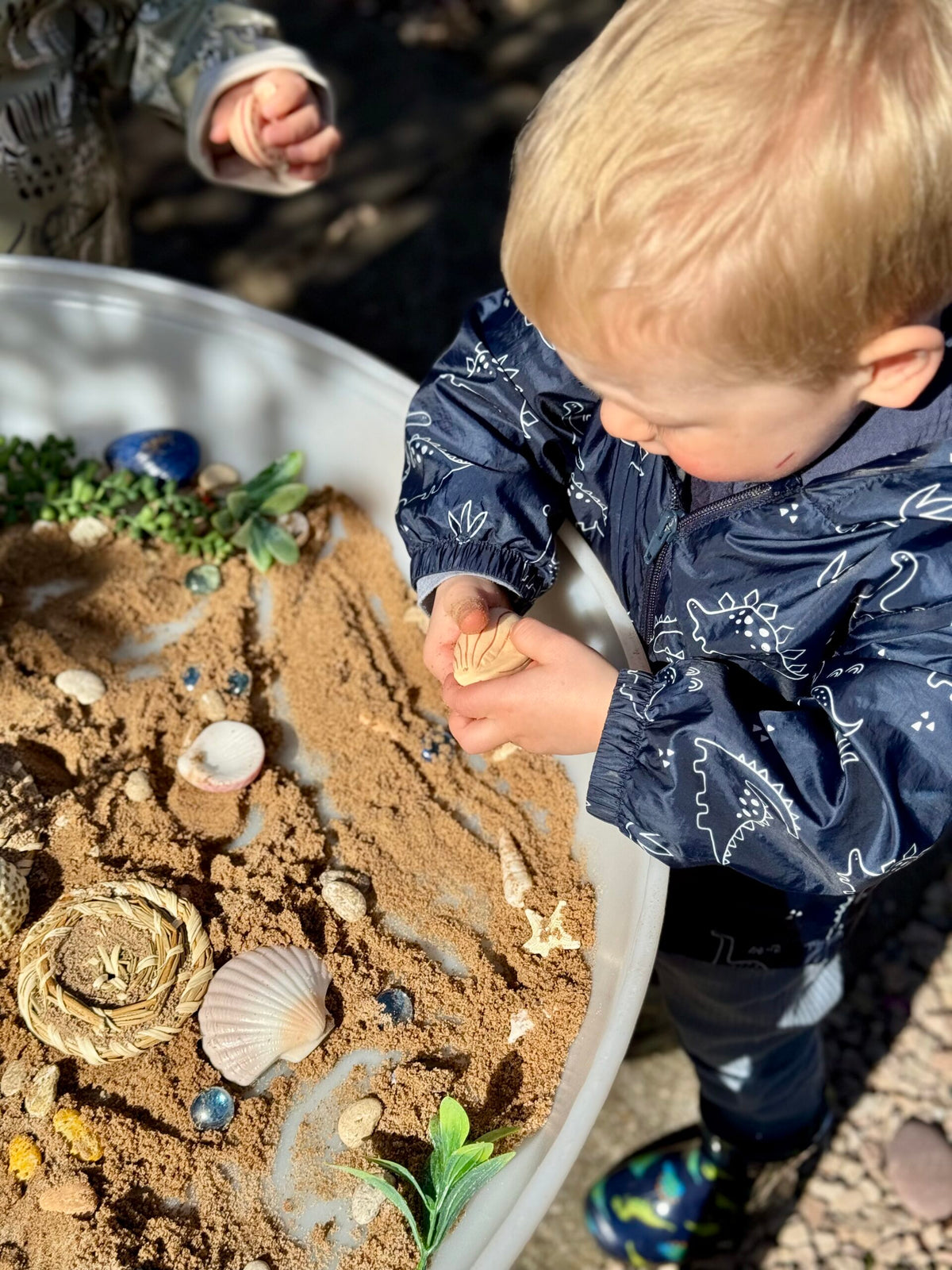 Sensory Play Stones Seashells